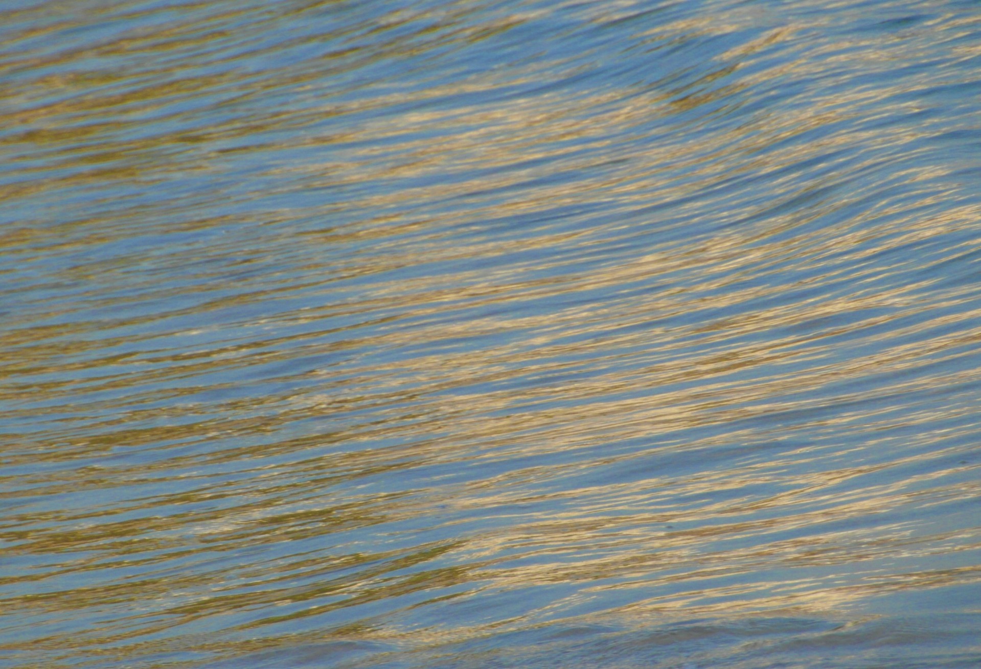 abstract isolated ripples free photo