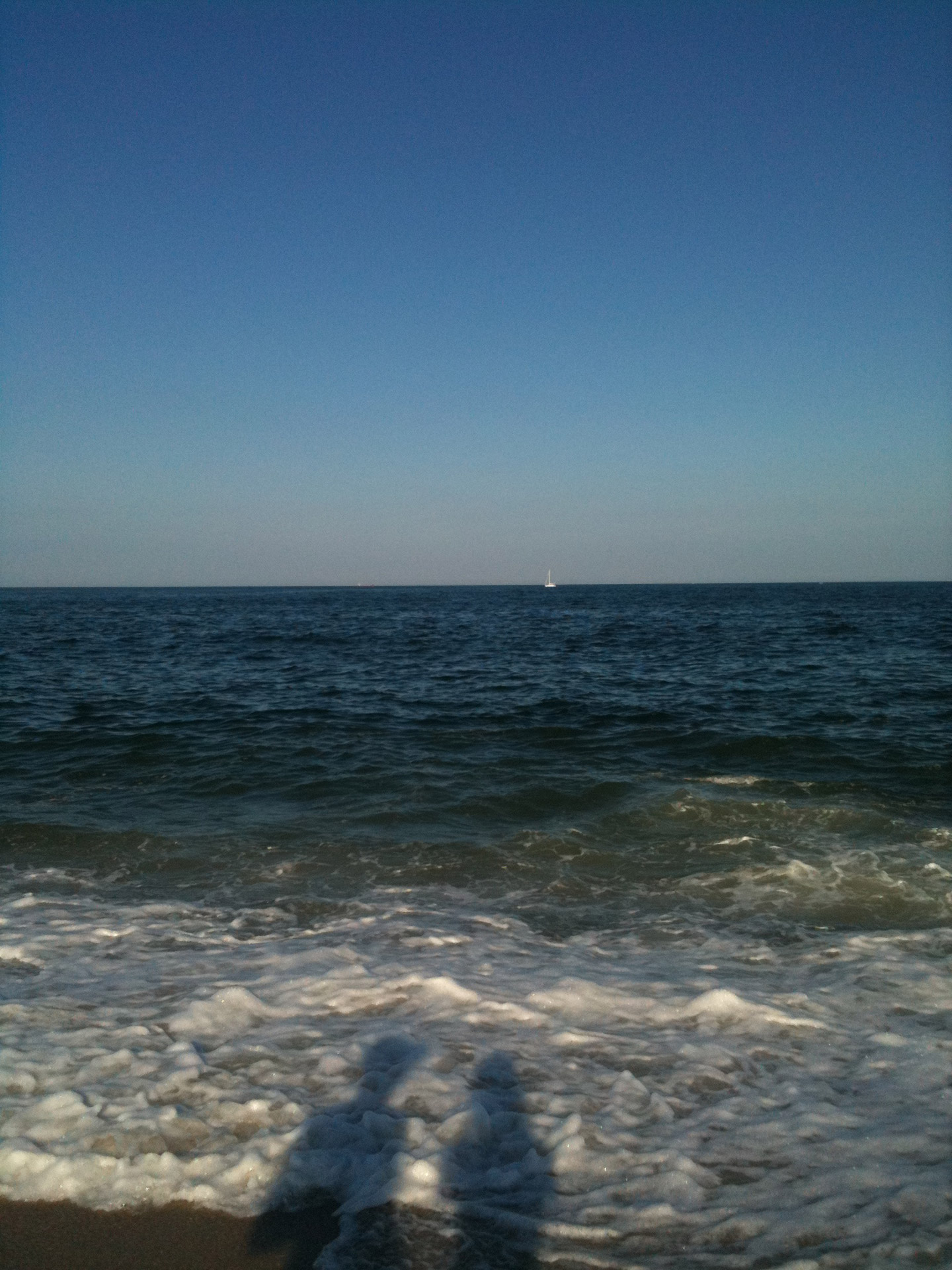 silhouette ocean beach free photo