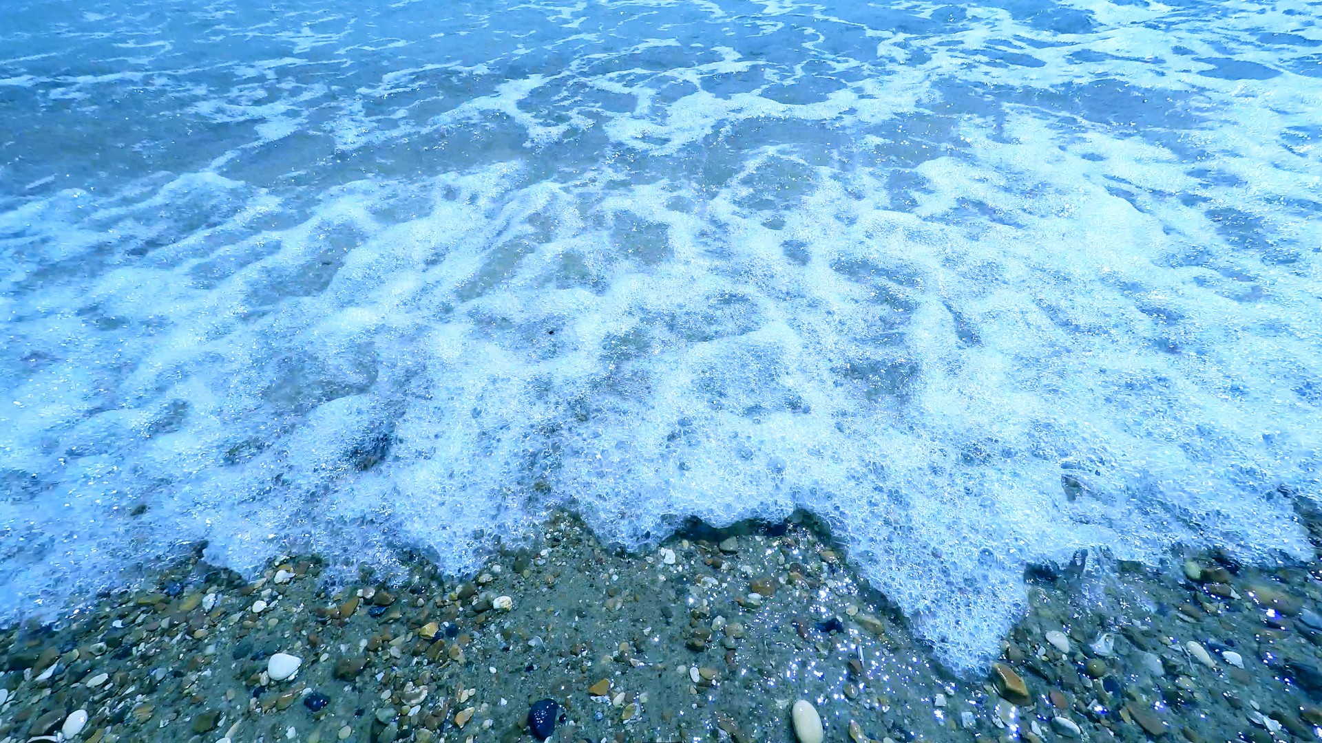 beach surf sand free photo