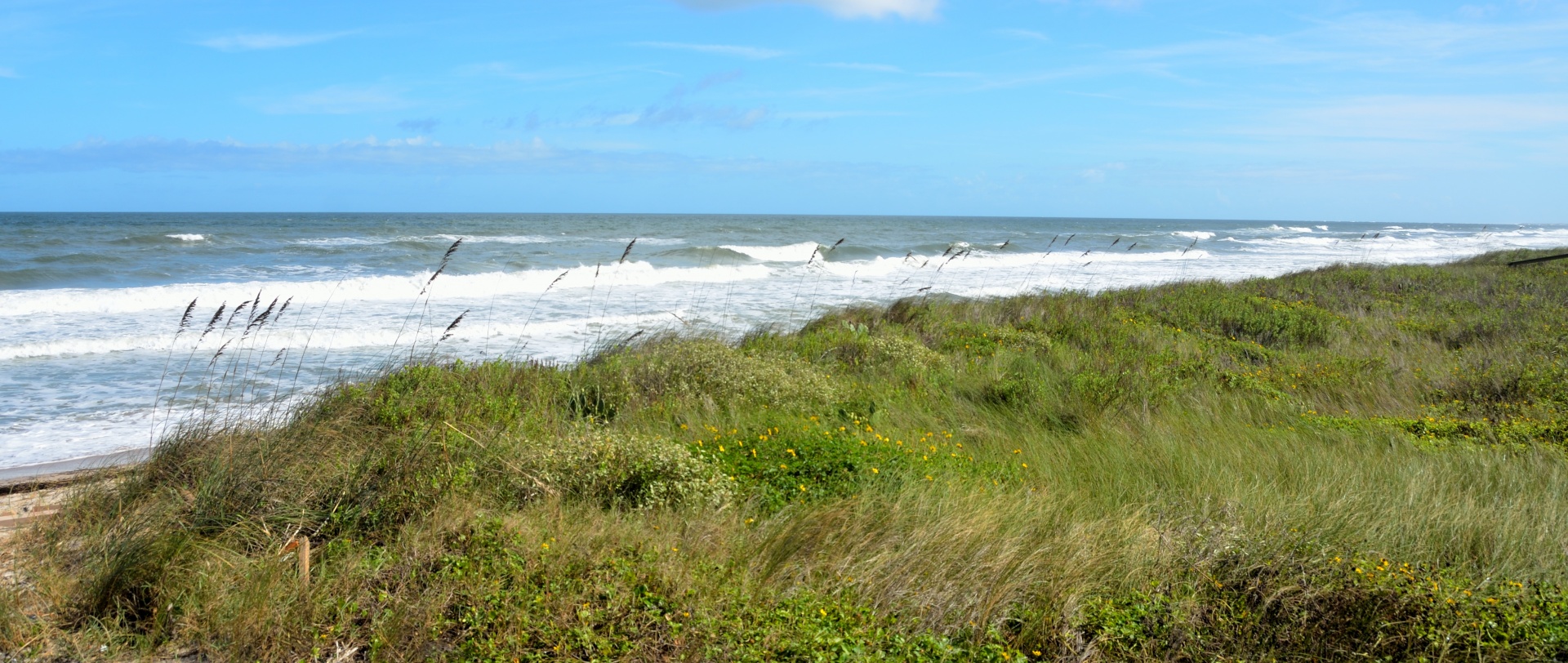 ocean waves seascape free photo