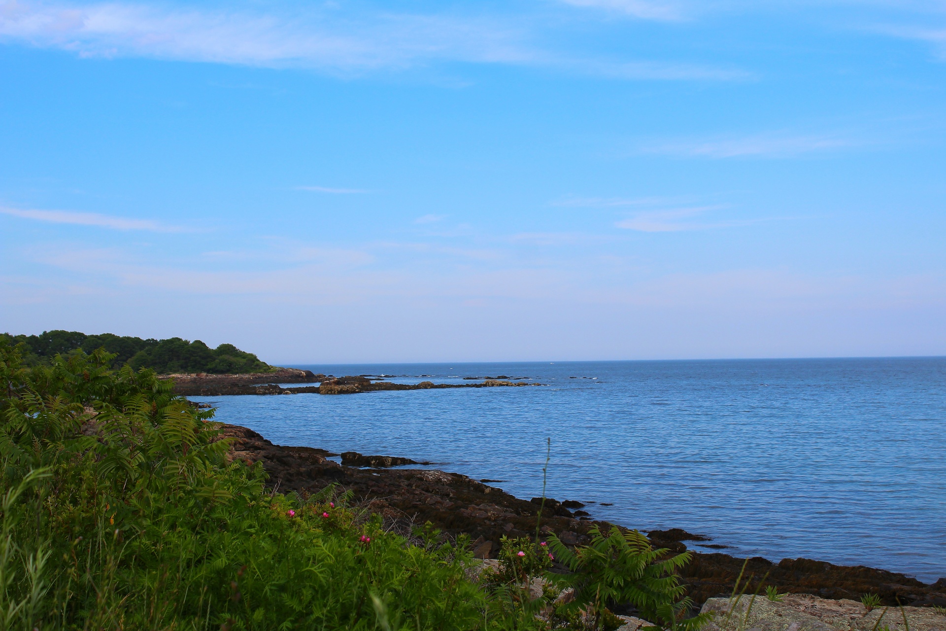 ocean shoreline nature free photo