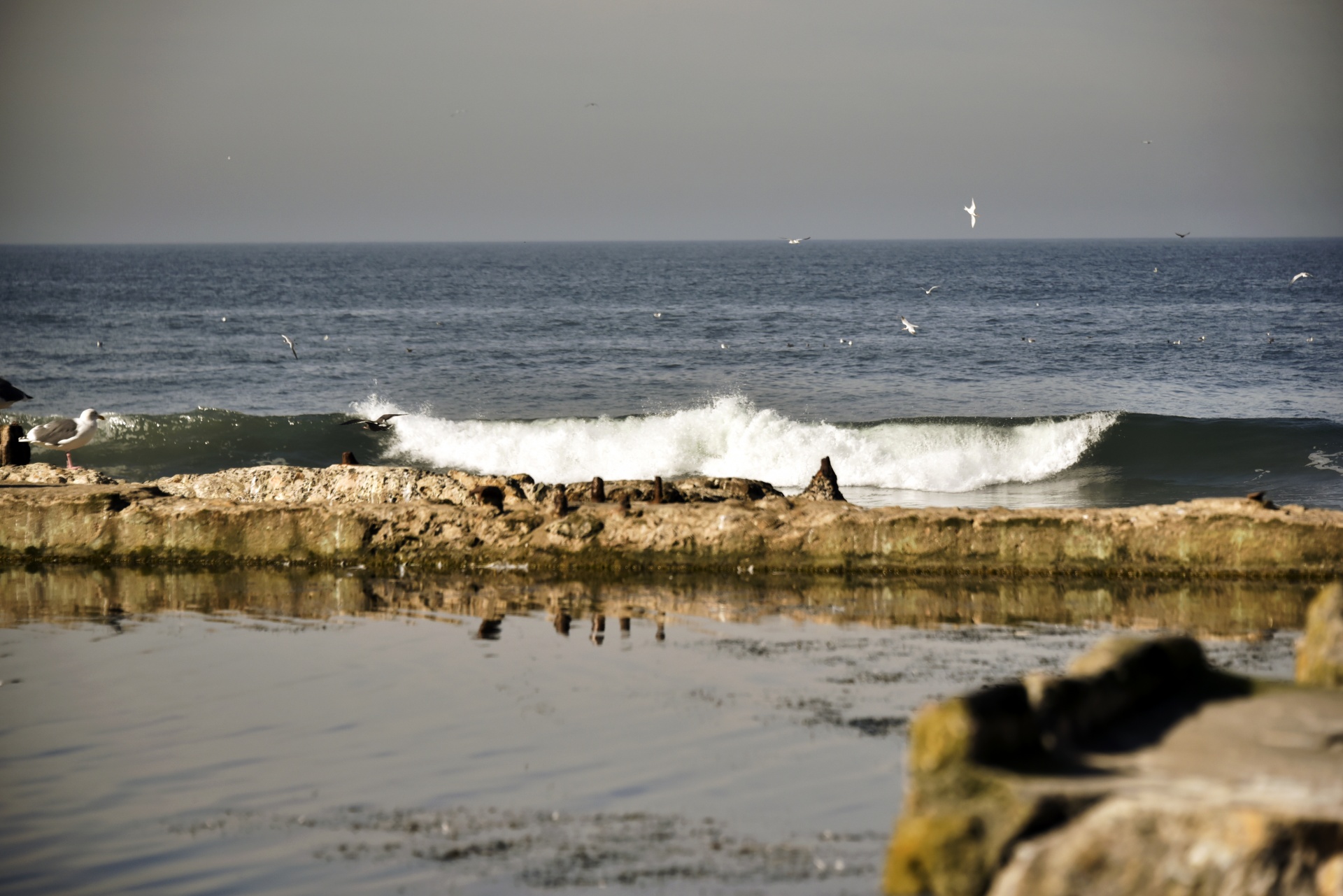 ocean wall wave free photo