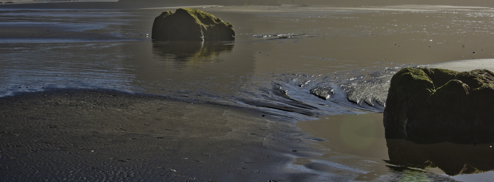 low tide rocks oregon coast free photo