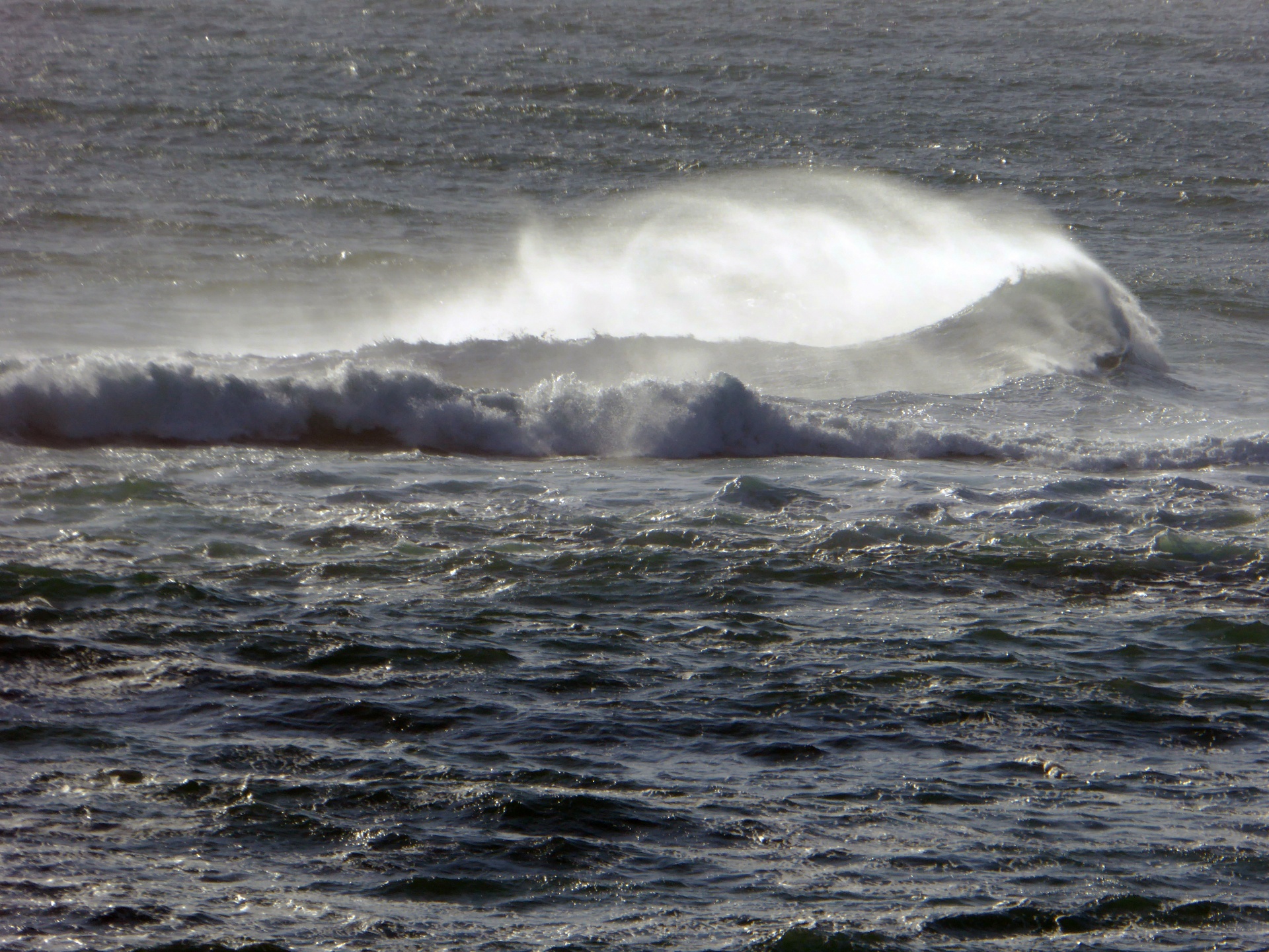 wave waves crashing waves free photo