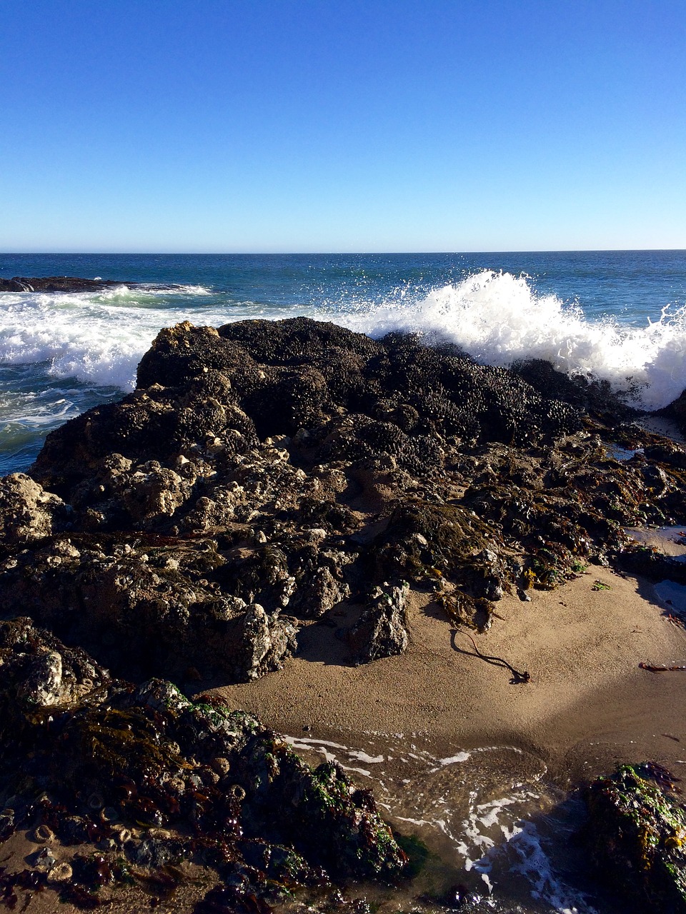 ocean waves rock coast free photo