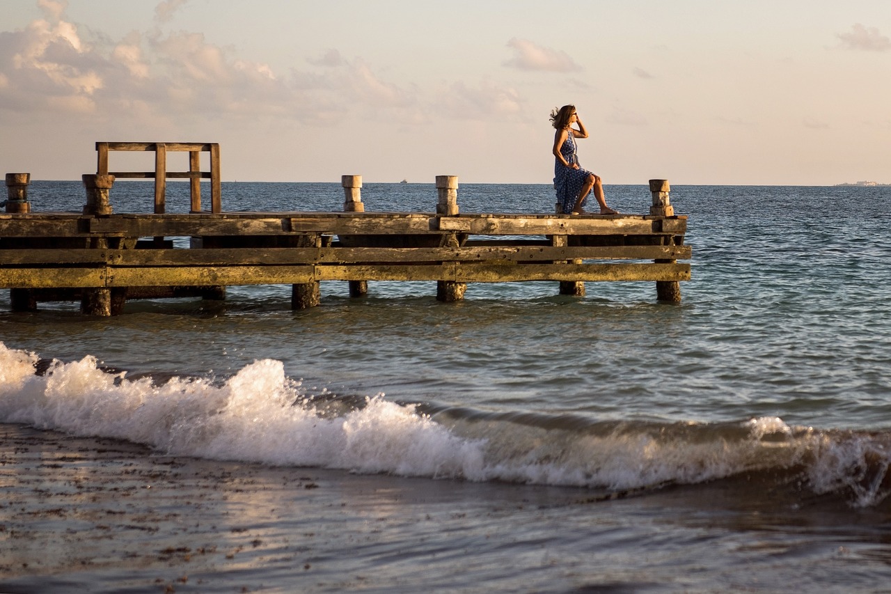 ocean waves dock beach free photo