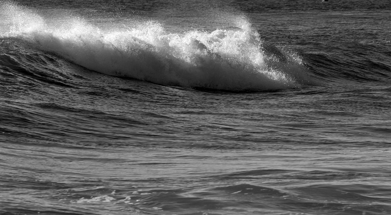 ocean waves  breaking waves  beach free photo