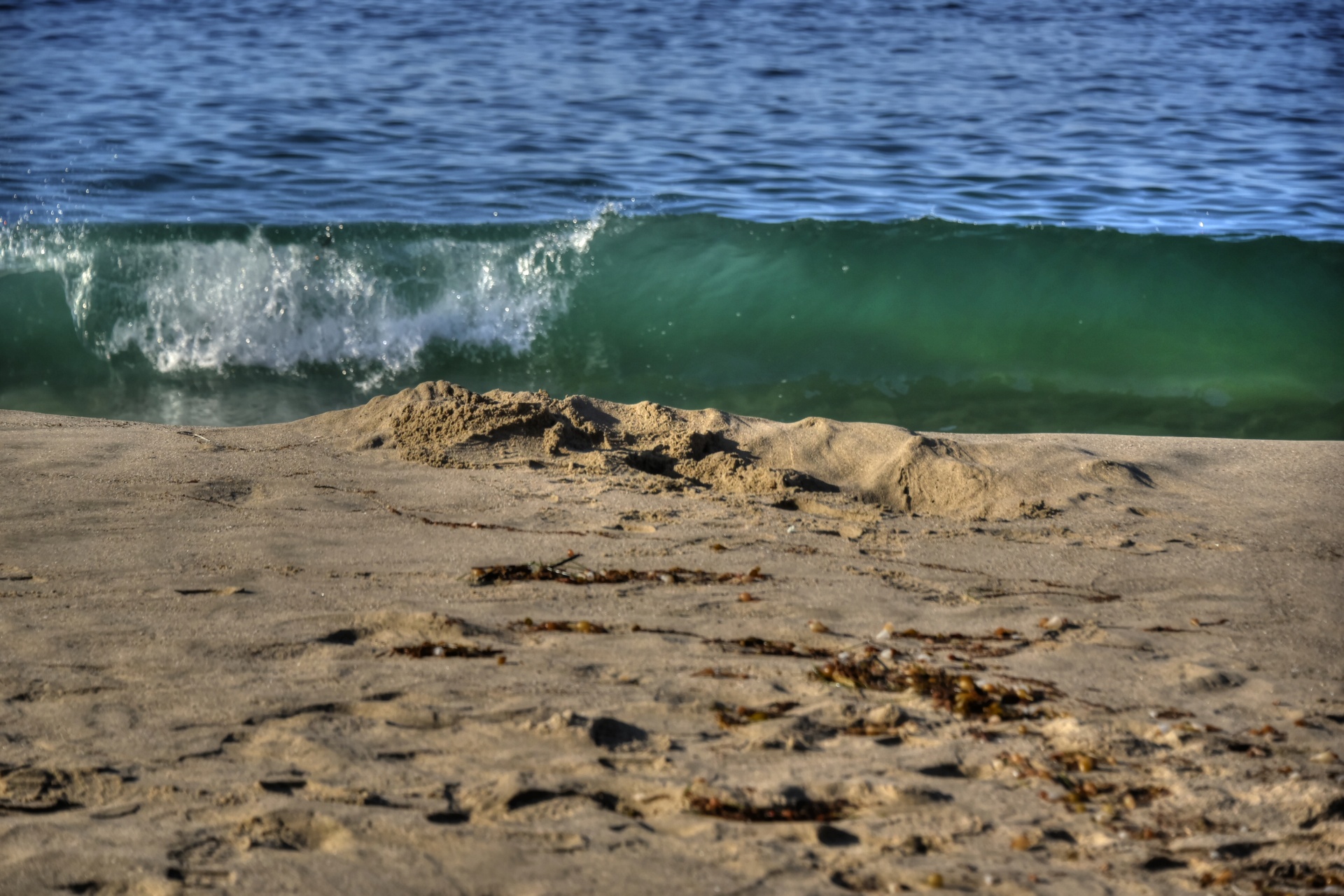 background translucent blue-green free photo