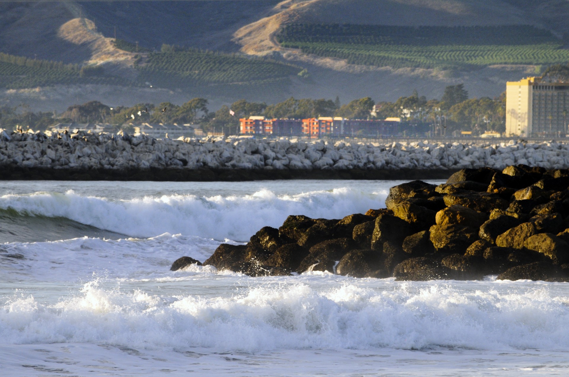 beach sea ocean free photo