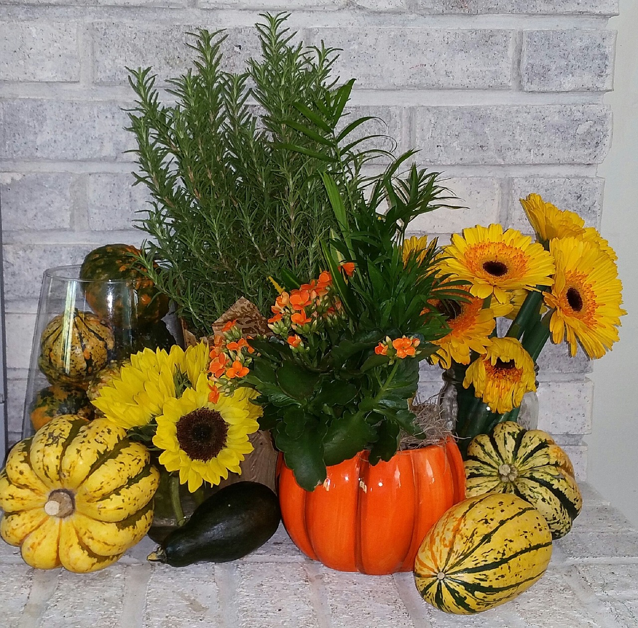 october harvest autumn free photo