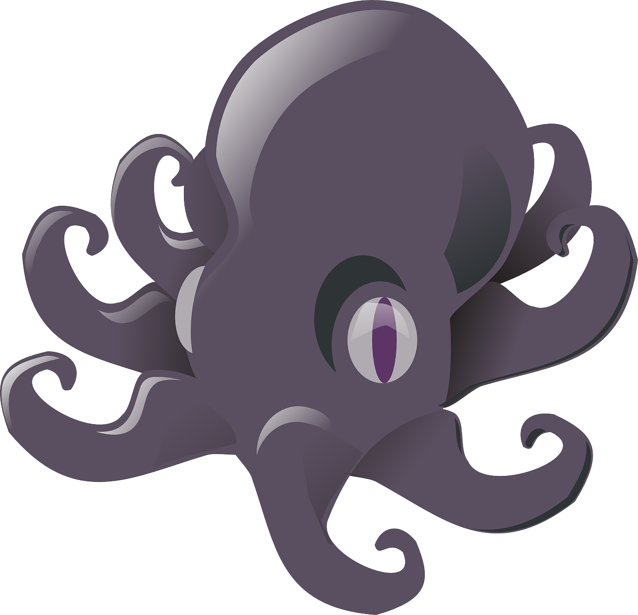 octopus devilfish octopod free photo
