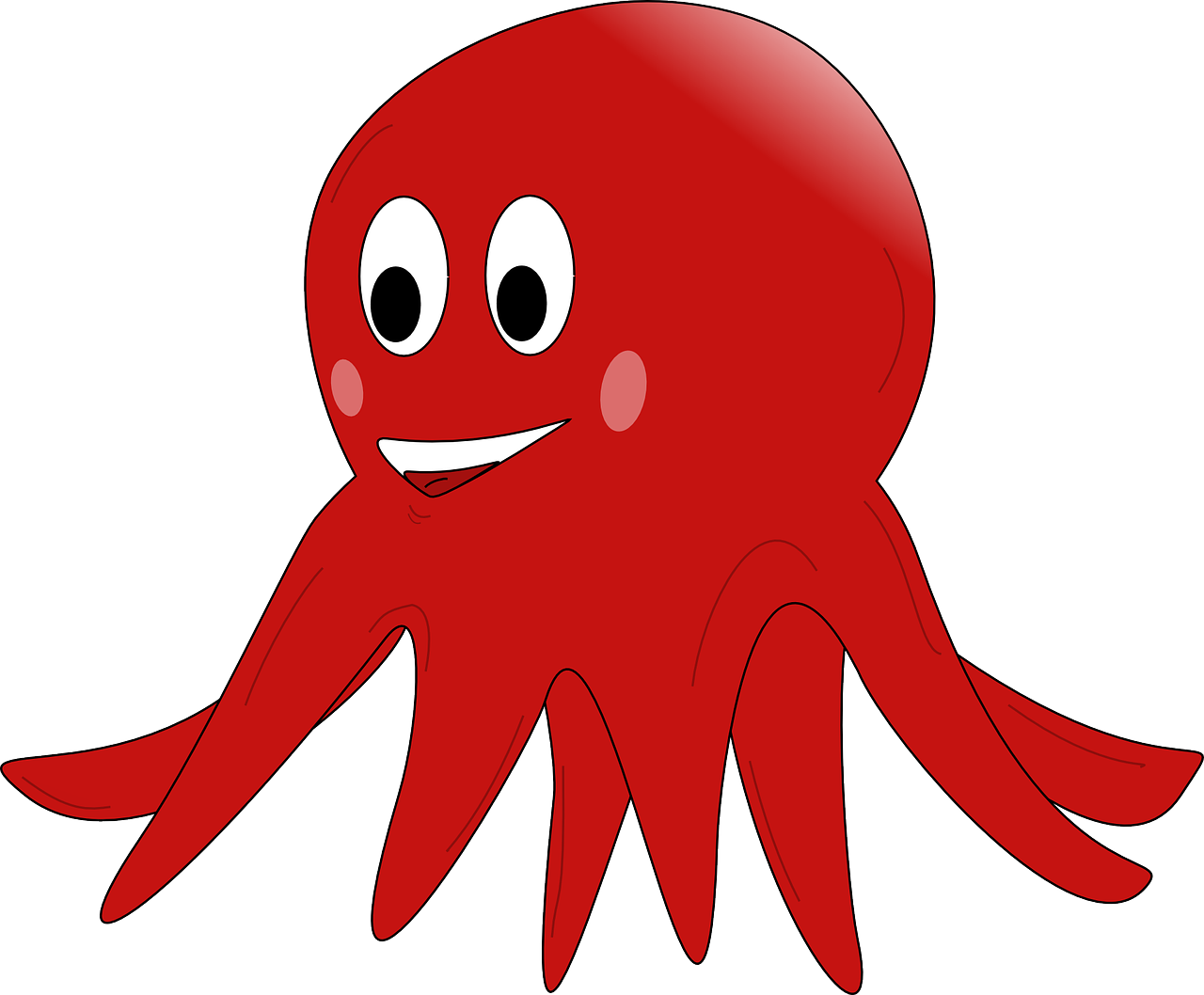 octopus red squid free photo