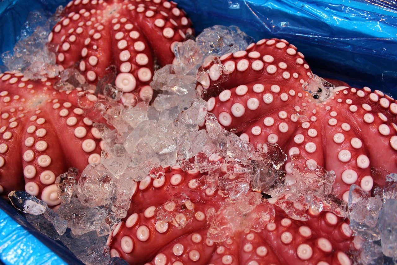 octopus tsukiji market fish market free photo