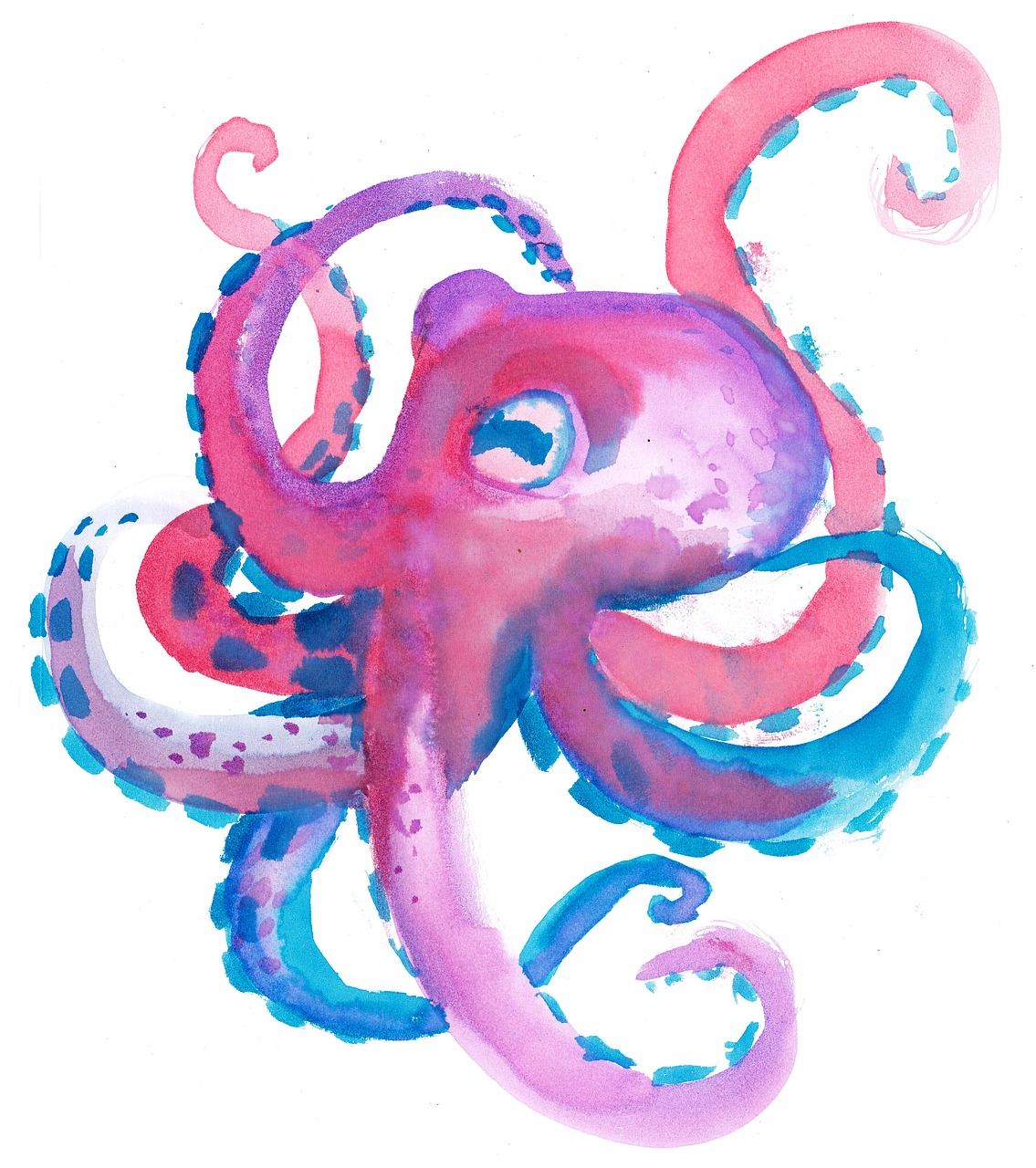 octopus  watercolor  children's free photo