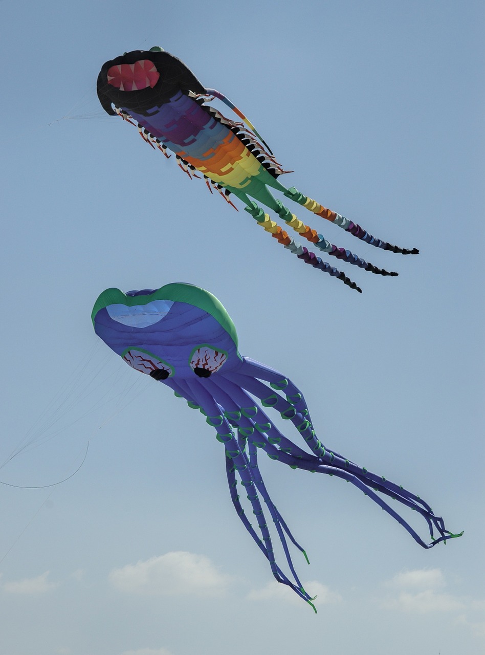 octopus kite beach free photo