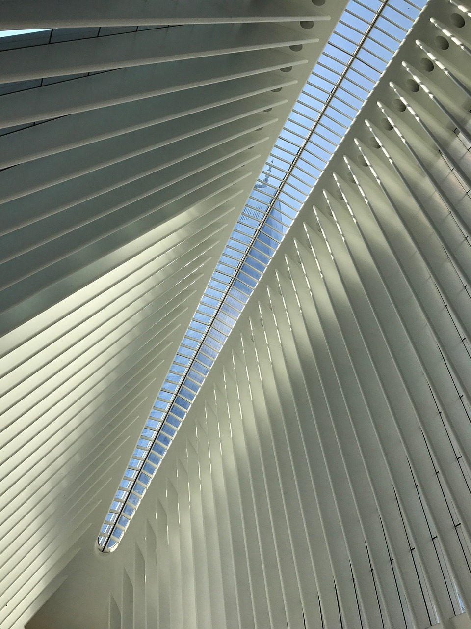 oculus  ceiling  freedom tower free photo