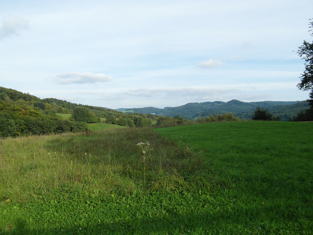 odenwald landscape sunny free photo