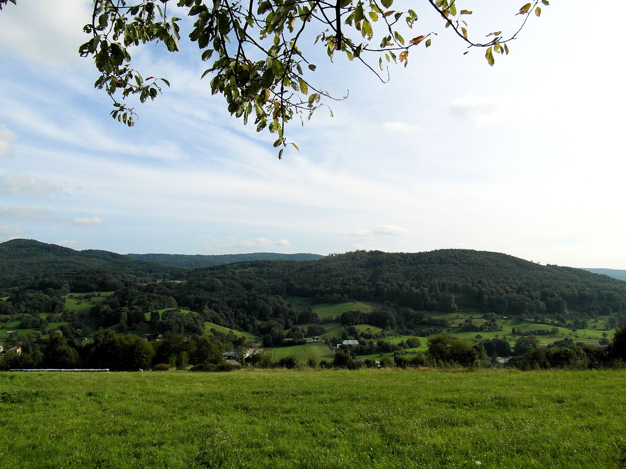 odenwald landscape hill free photo