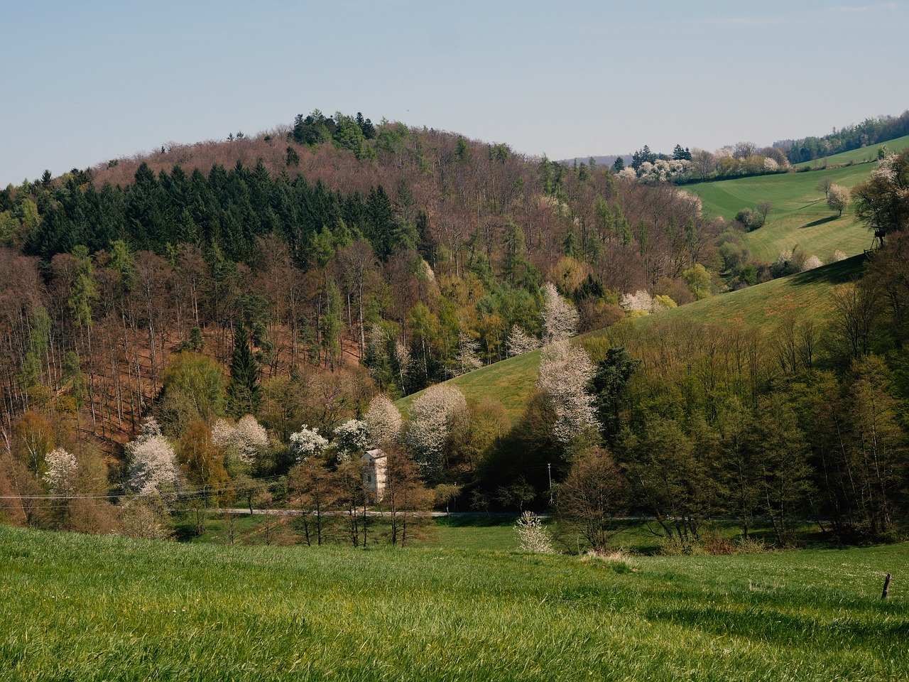 odenwald cultural landscape mixed forest free photo