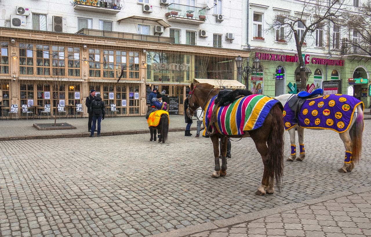 odessa barabashevsky horse free photo