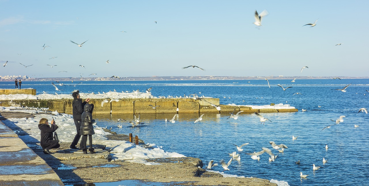 odessa langeron people free photo