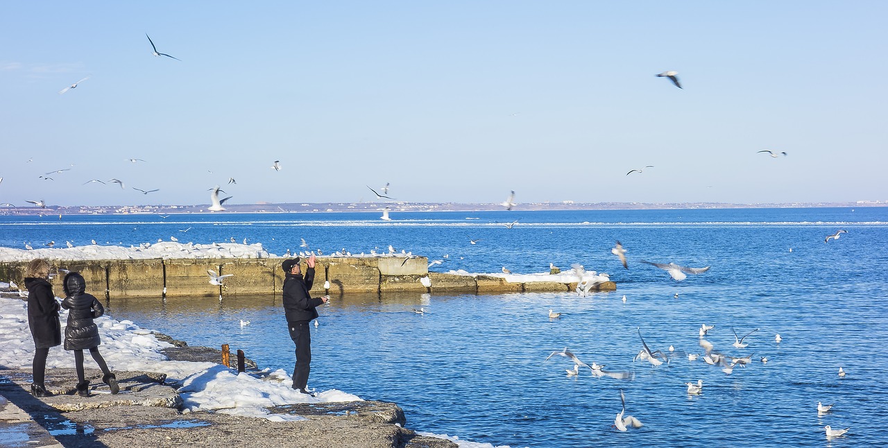 odessa sea langeron free photo