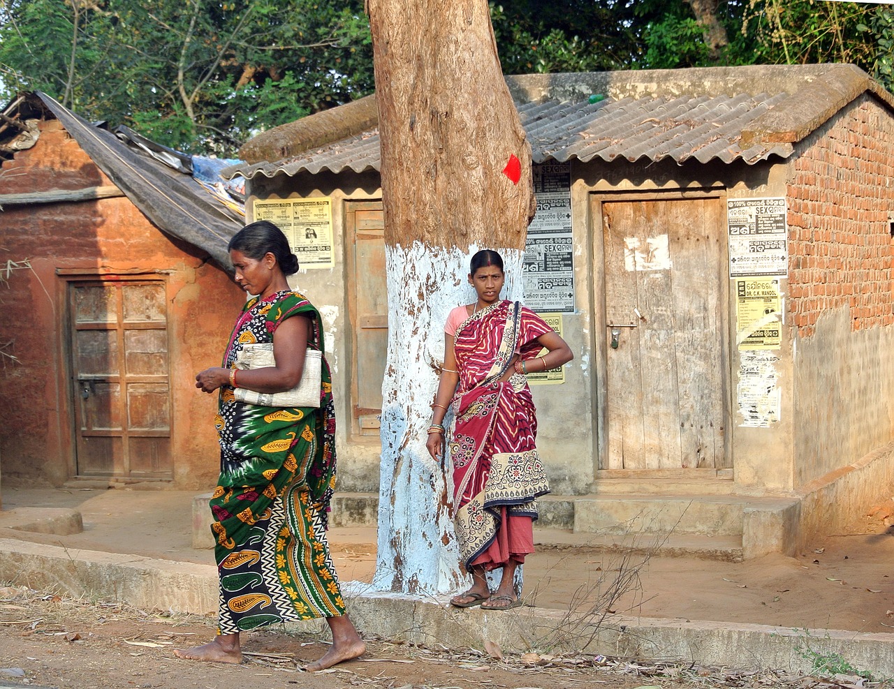 odisha tribal women free photo