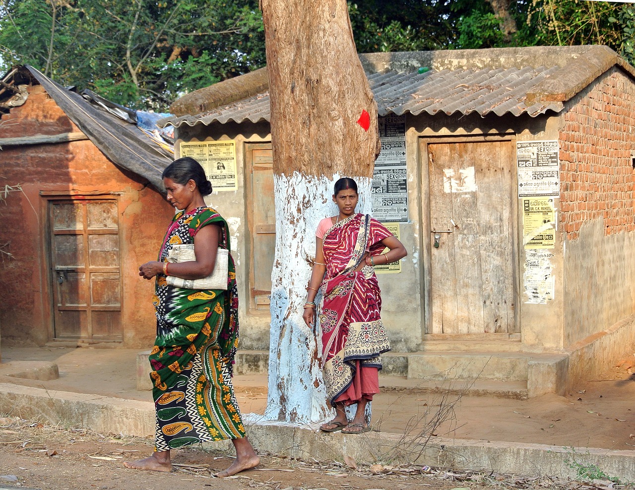 Odisha,tribal,women,woman,asia - free image from needpix.com