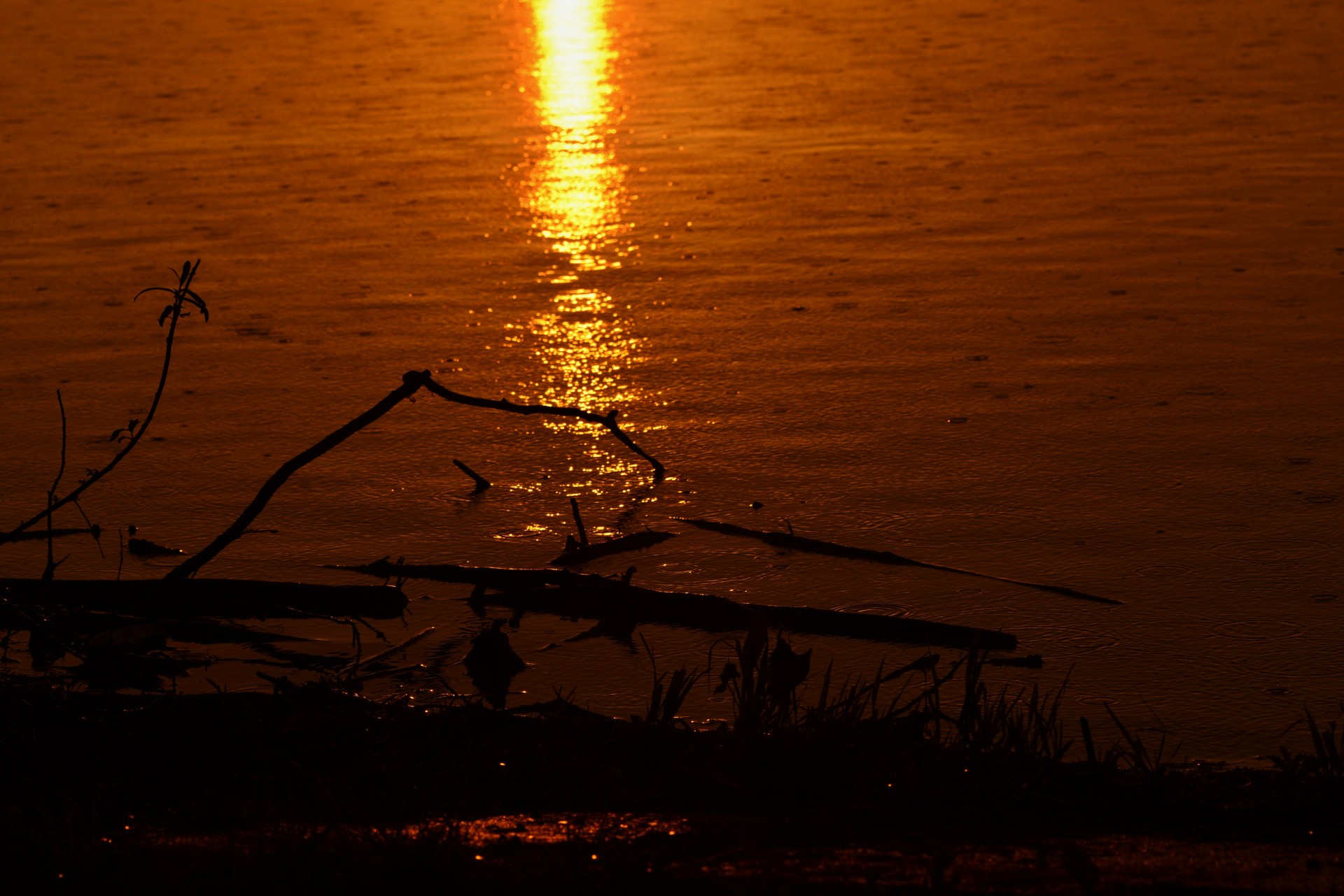 sunrise reflection pond free photo