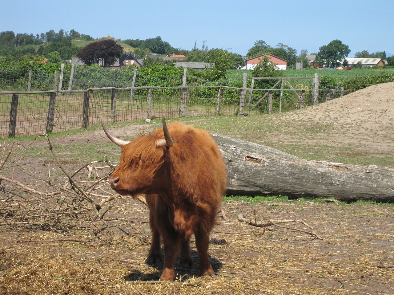 odsherred zoo summer tourist free photo