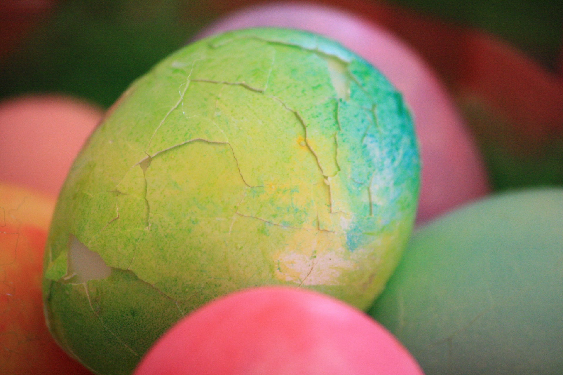 egg cracked colors free photo