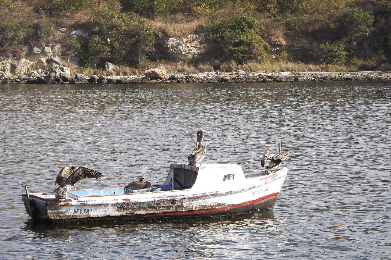 fishing sea landscape free photo