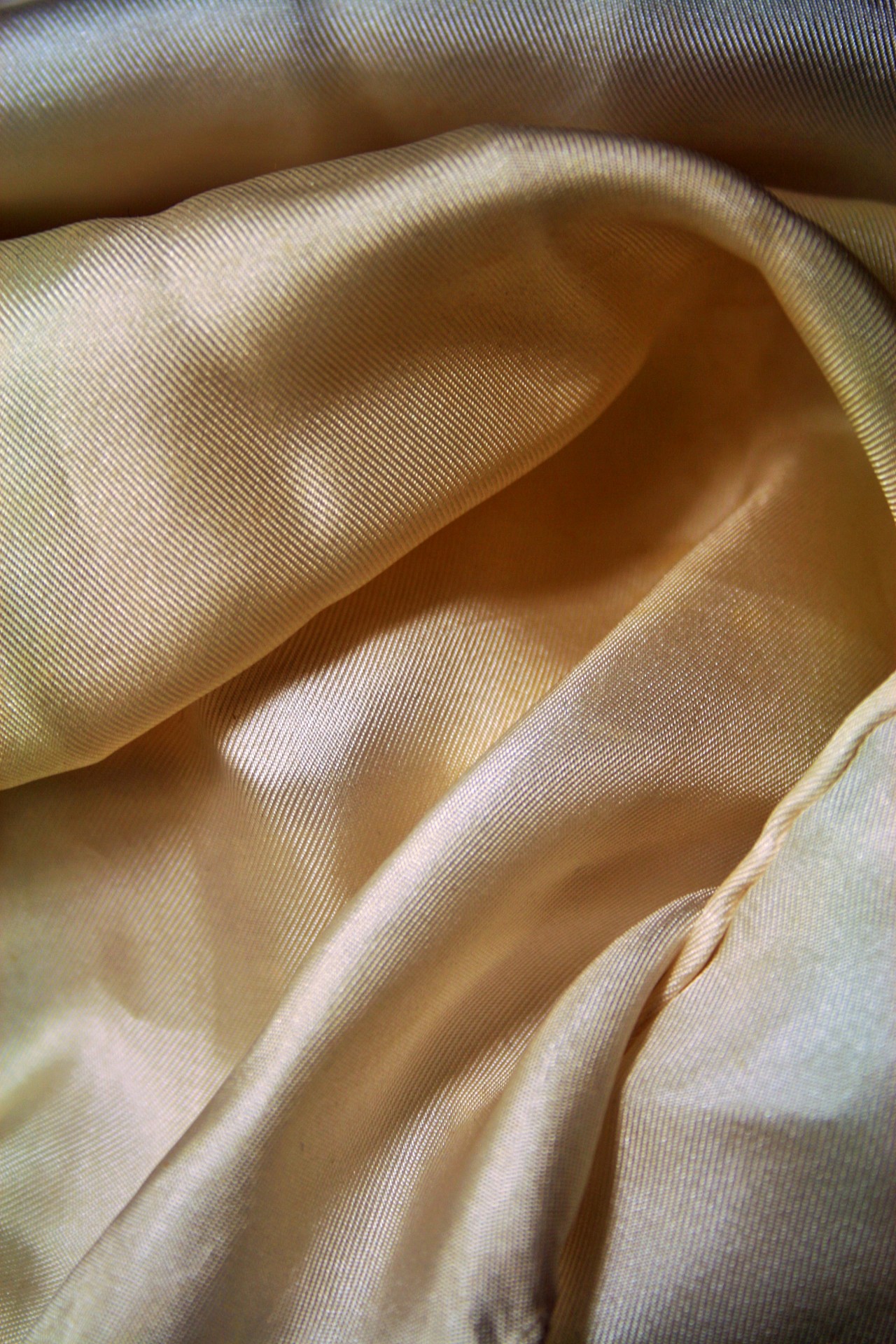 scarf silk off-white free photo