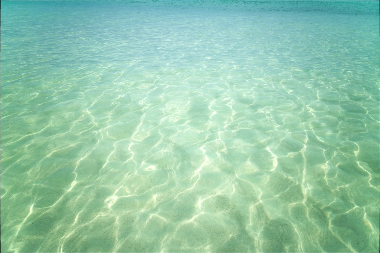 offering a clear water beach free photo