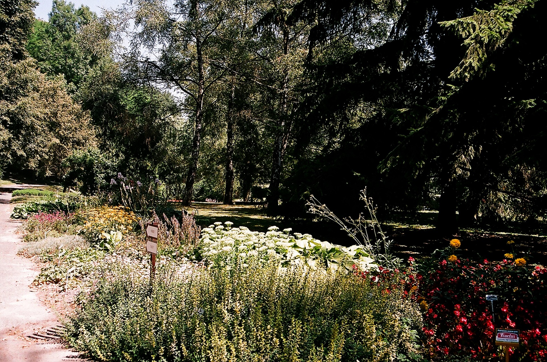 garden botanical lublin free photo