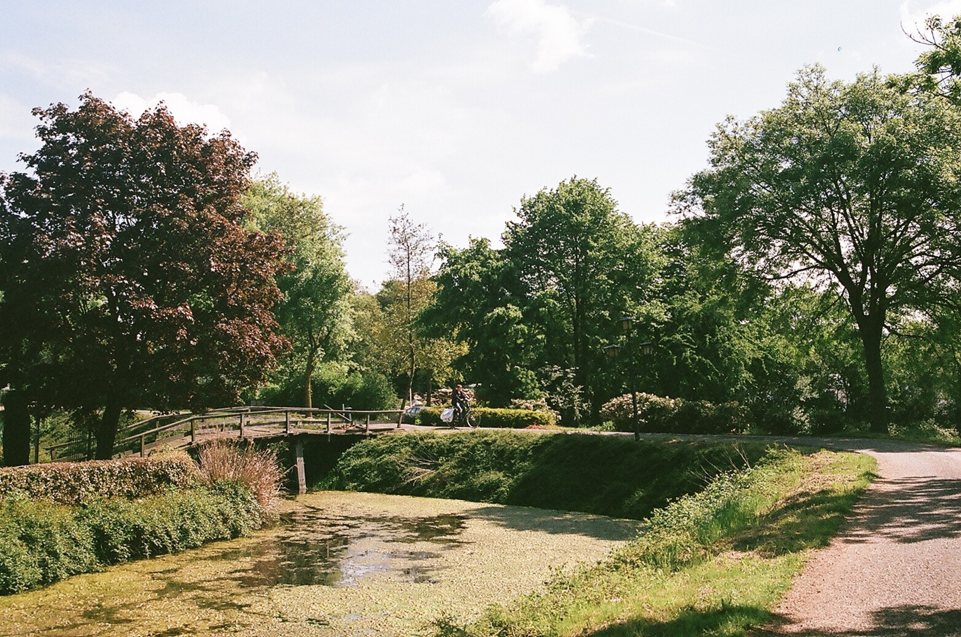 netherlands village garden free photo