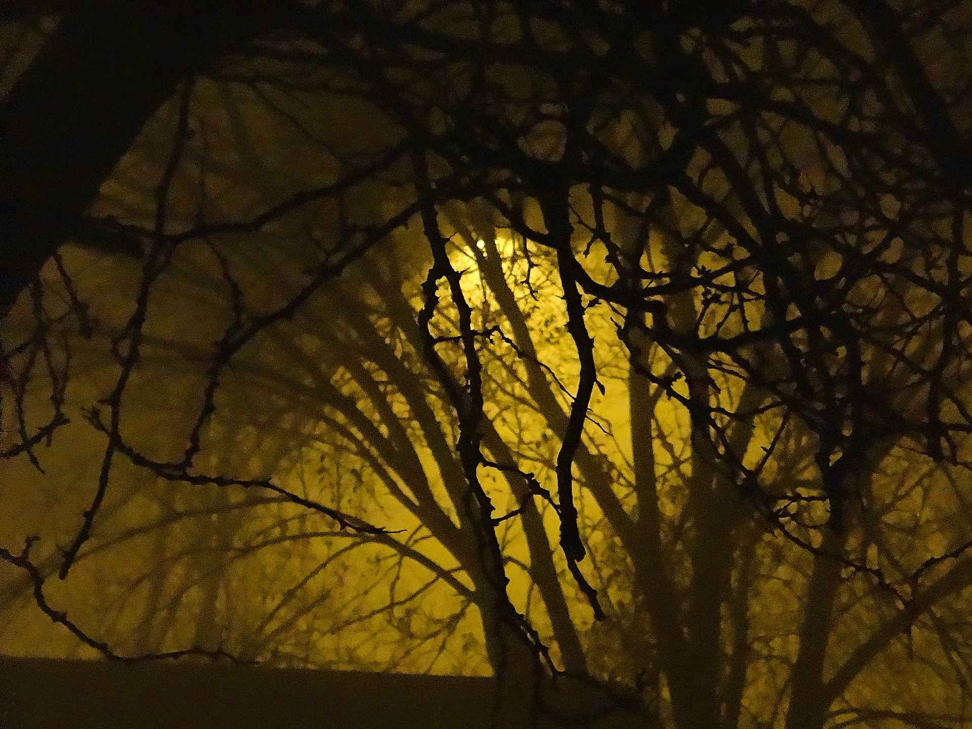 fog night midwest free photo