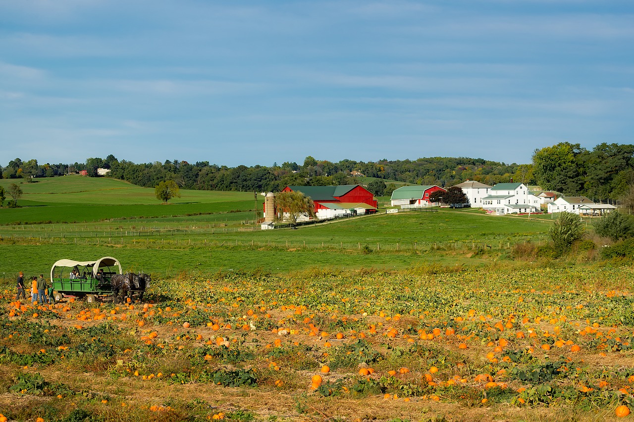 ohio farm amish free photo