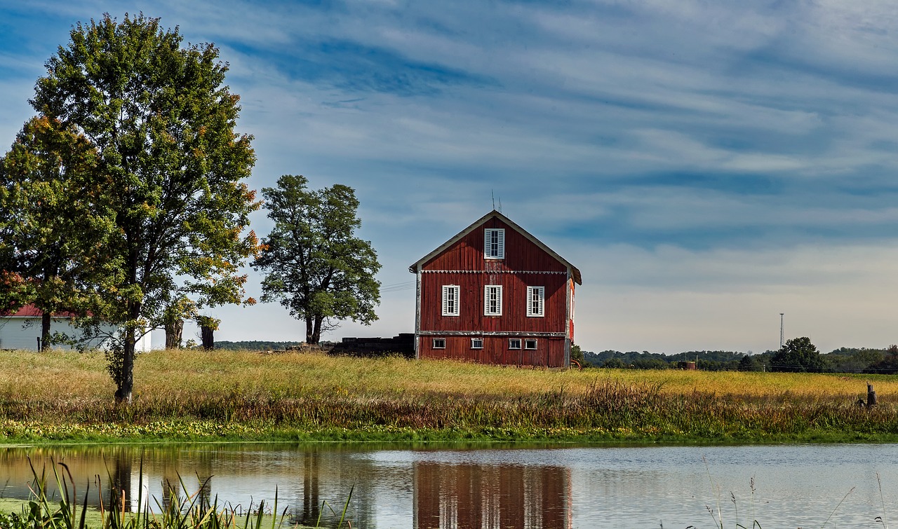 ohio  america  pond free photo