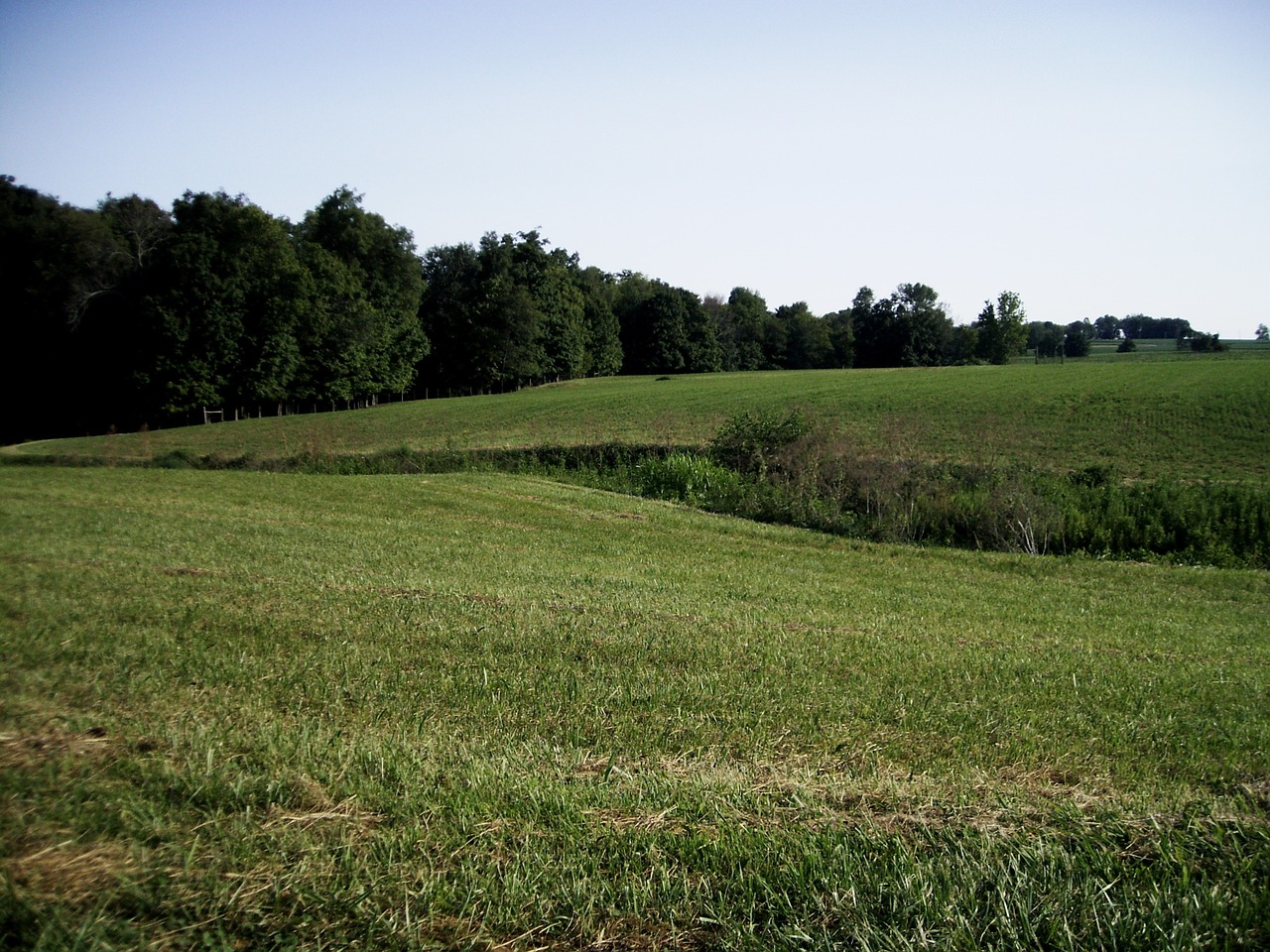 ohio country field free photo