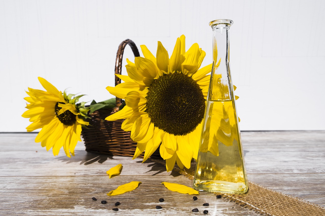oil sunflower oil cooking oil free photo