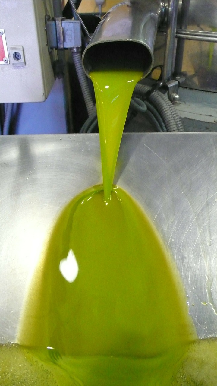 oil first pressure olive free photo