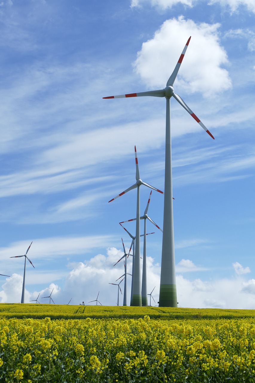 oilseed rape wind turbine clouds free photo