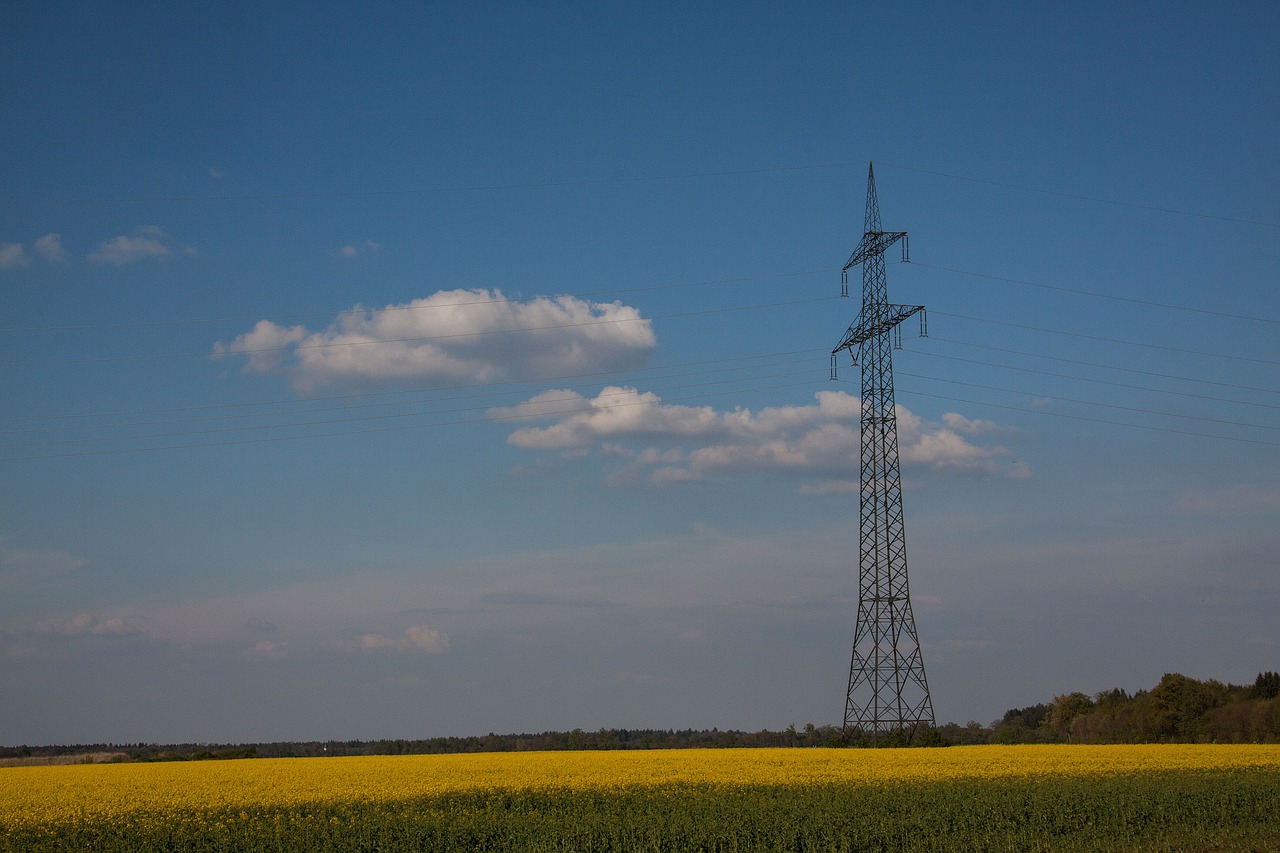 oilseed rape agricultural operation yellow free photo