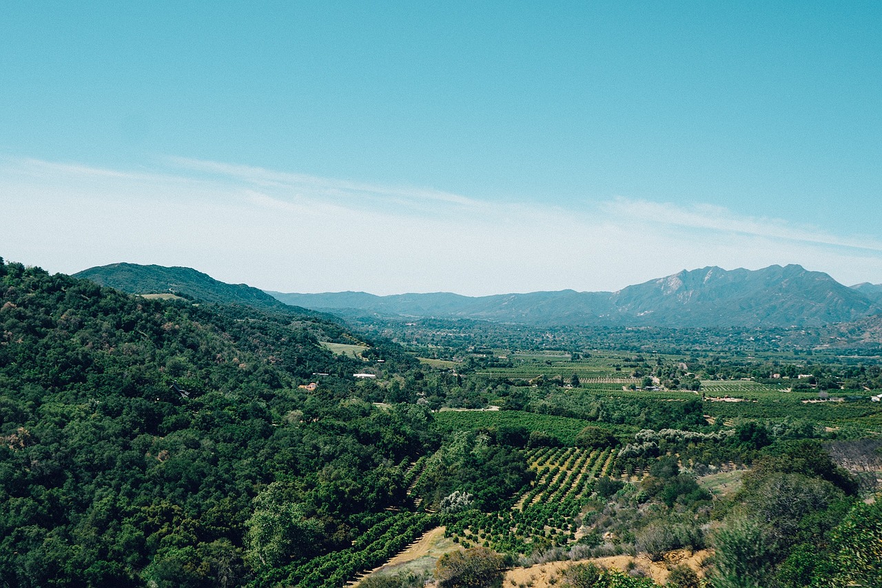 ojai california vineyards free photo
