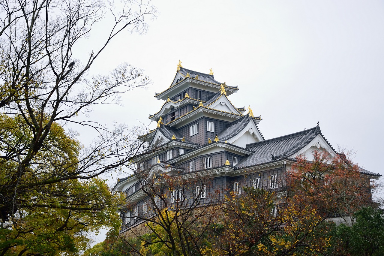 okayama  castle  trees free photo