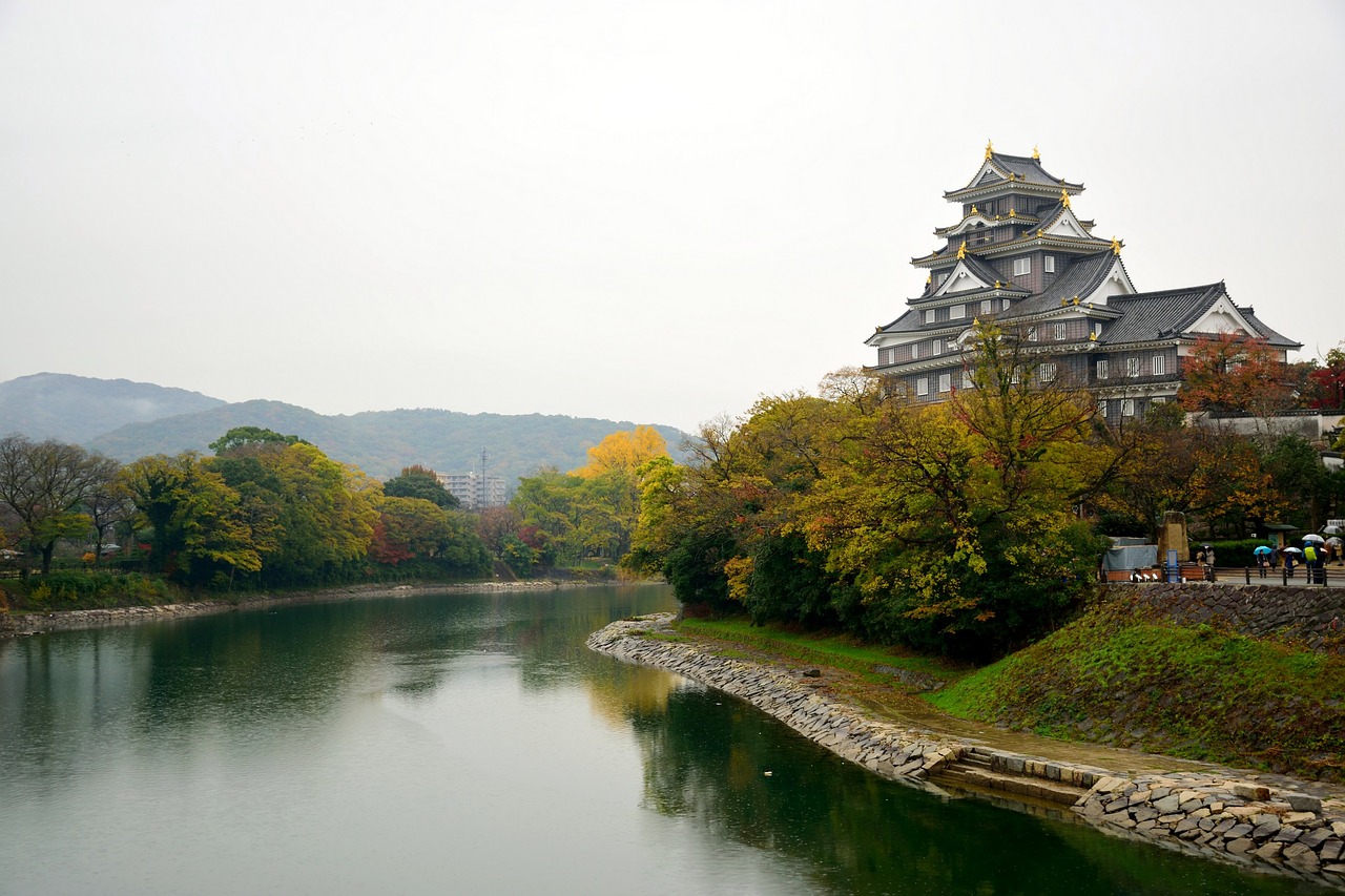 okayama  castle  leaf free photo
