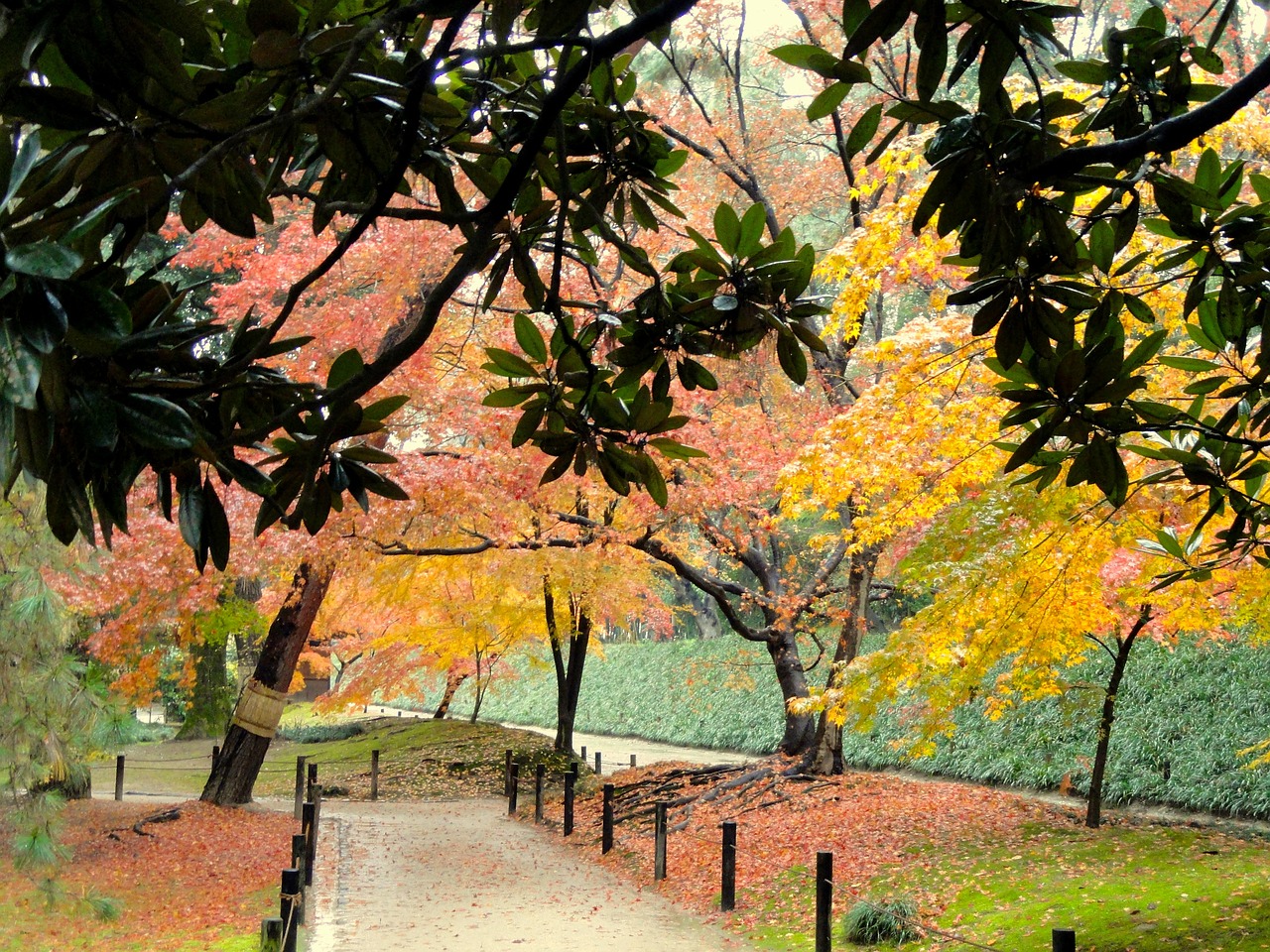 okayama japan park free photo