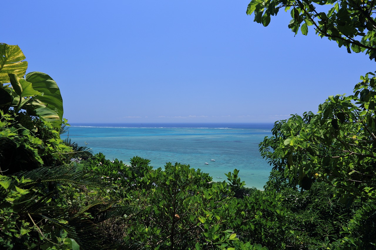 okinawa blue sea coral reefs free photo