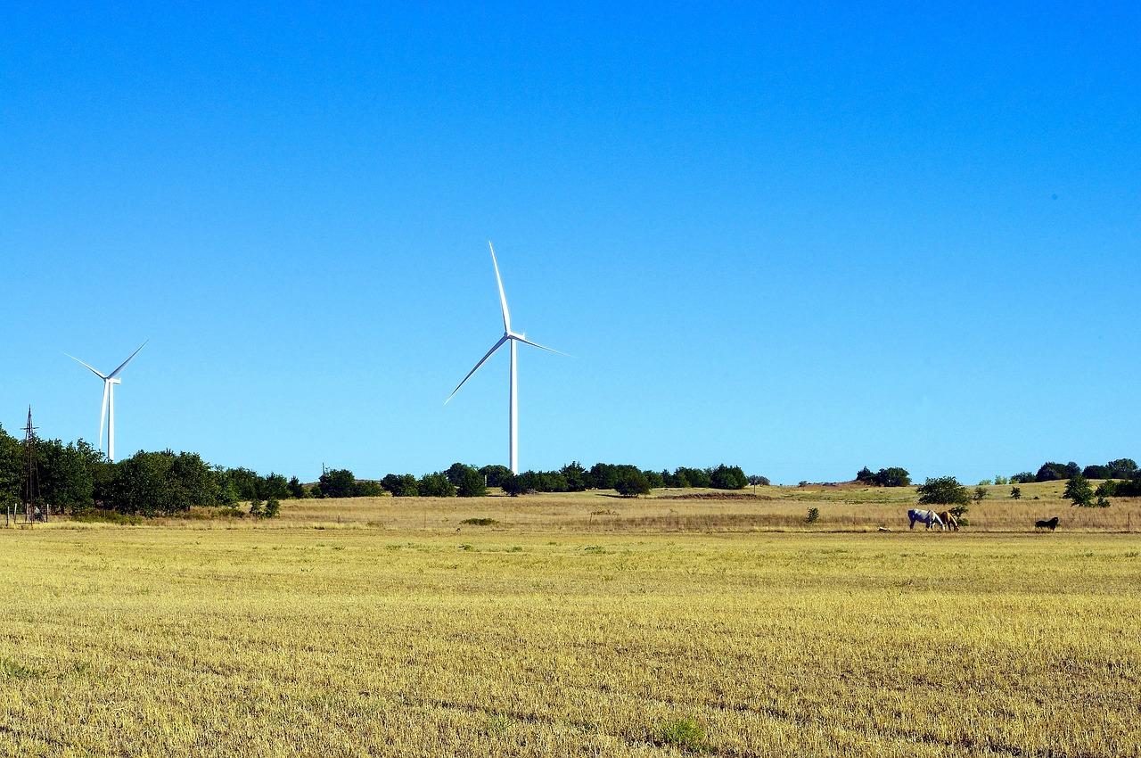 oklahoma wind and horse power  wind  horses free photo